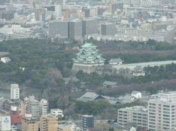 名古屋城を見る.jpg